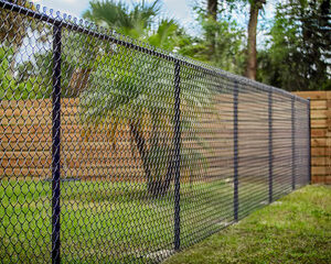 Chain Link Fence